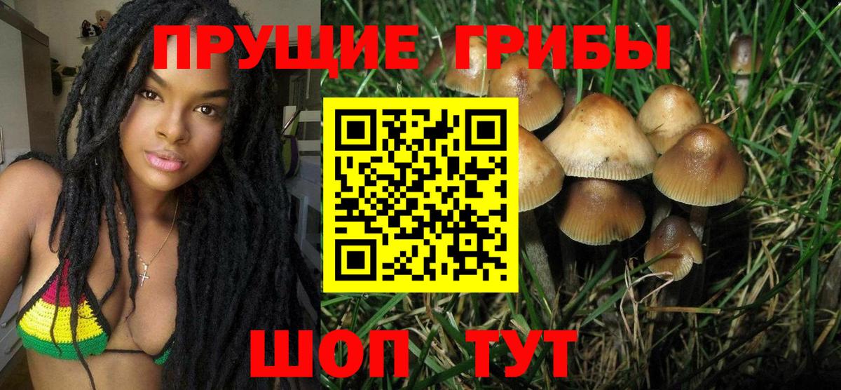 Галлюциногенные грибы Cubensis Глазов