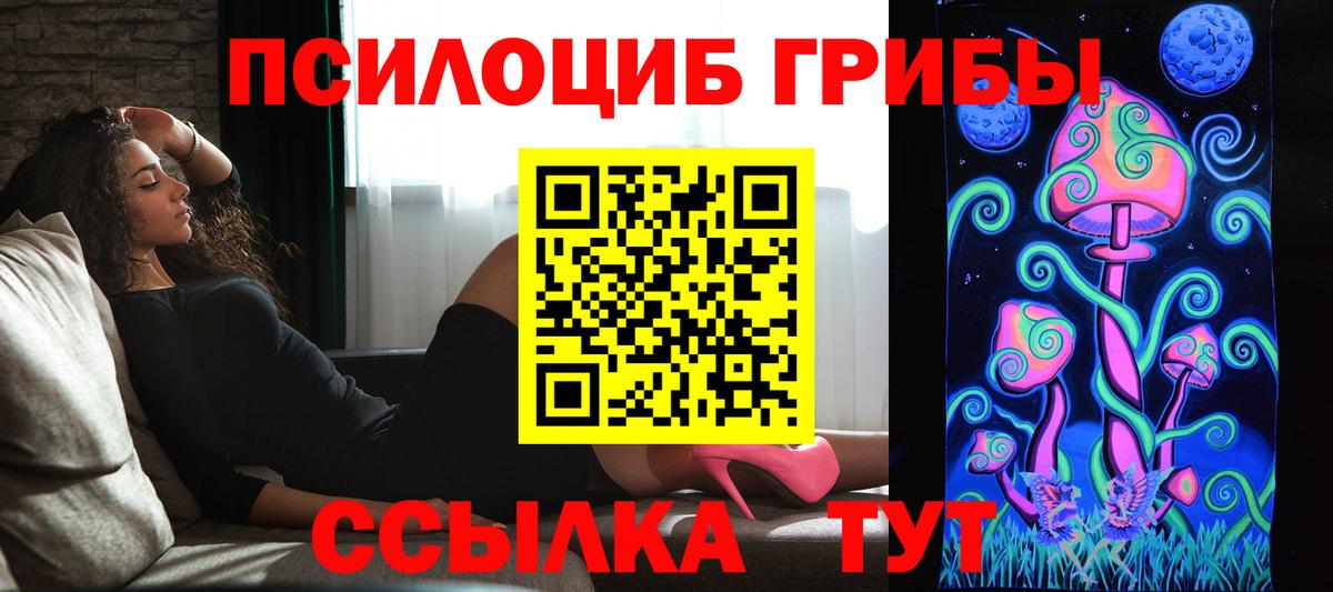 Псилоцибиновые грибы мицелий  Вход с VPN  Глазов 