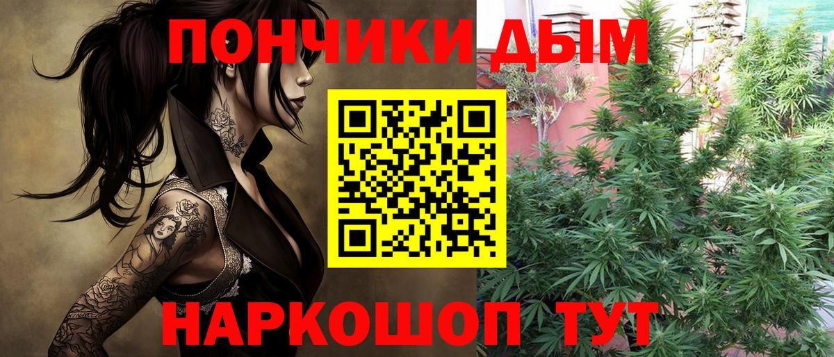 Шишки марихуана SATIVA & INDICA  Бошки марихуана гибрид  МАРИХУАНА сатива  Шишки марихуана тримм  Глазов  Вход с VPN 